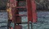 upload_2017-5-15_7-45-26.jpeg