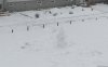 Schneemann.jpg