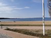IMG_20200412_155229.jpg