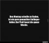 5b21cf11ea80aecfc8c25d4b8777d04e.jpg