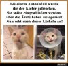 30f869a78edd23e2f7844e07eae1f5692100.jpg