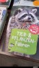 upload_2022-9-16_20-51-37.jpeg
