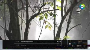 dreamDroid_1689850814547.jpg