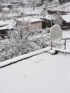 Schnee.jpg