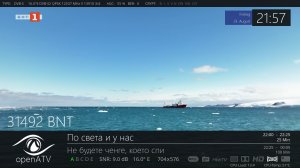 100631.jpg