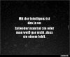 b513859f26731849a176ab9a38add45d.jpg