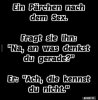 d905e5ebd64569447aa941bf75b9bad45111.jpg