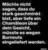 5a42af24f79eb7ee9d3a831d021ff6e76486.jpg