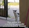 d8eea8efbaabe2fa0bbb7da4d54e59f13709.jpg