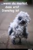 upload_2022-1-18_6-32-44.jpeg