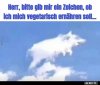 2e921c4186ce720971d2a1c942ae3d664302.jpg