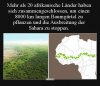 64d5f27080d1e95df42ea91e1cf1eda75448.jpg