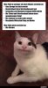 a113563bbb2bade2abdcd69598c8eba74784.jpg