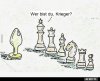 upload_2022-3-8_8-51-17.jpeg