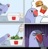 1fb3e90ee1667f7c9bfa84ea58f5e1f71557.jpg