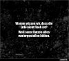 053f2bbb4ae48153da824a66c1c2874b.jpg
