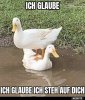 0c5ca311bca648eae0abbcb666b0c5202081.jpg