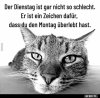 upload_2022-7-12_7-39-13.jpeg