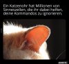 upload_2022-7-17_8-43-4.jpeg