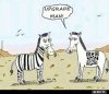 f371c67fec68ba1de99c15f188e5a9e25940.jpg
