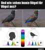 f4a578b30733fe8f6c159e58703f5d3d6917.jpeg