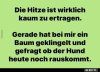 dd6713ee2784c8765c409ace146e11371706.jpg