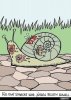 upload_2022-7-30_8-15-39.jpeg