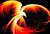 Phoenix86