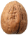 Walnuss
