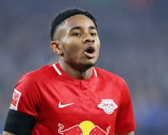 bayern dodo