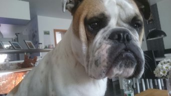 George0410