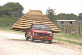 Namibiafan