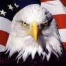 the eagle