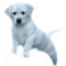 Silverwind