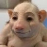 sarkom