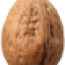 Walnuss