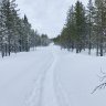 Larssen