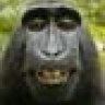 rehse.ralf