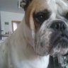 George0410
