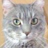 Catryn