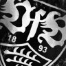 Brustringschwabe