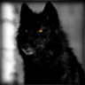 Wolf1881