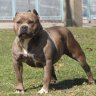 Ralle_77