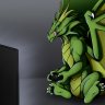 DERxDRACHE