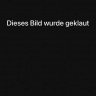 willi1000