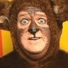 Erklärbär