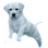 Silverwind