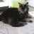 Jochem12