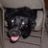 DogAteYelowSnow