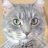 Catryn